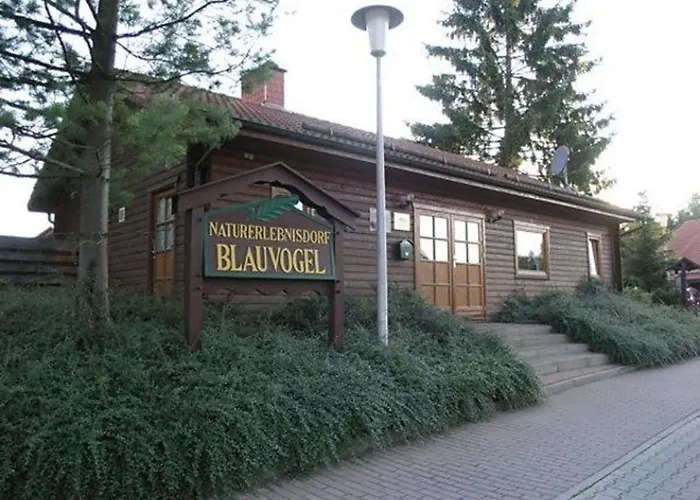 Ferienhaus Nr 32, Typ A, Ferienanlage Blauvogel, Hasselfelde, Harz