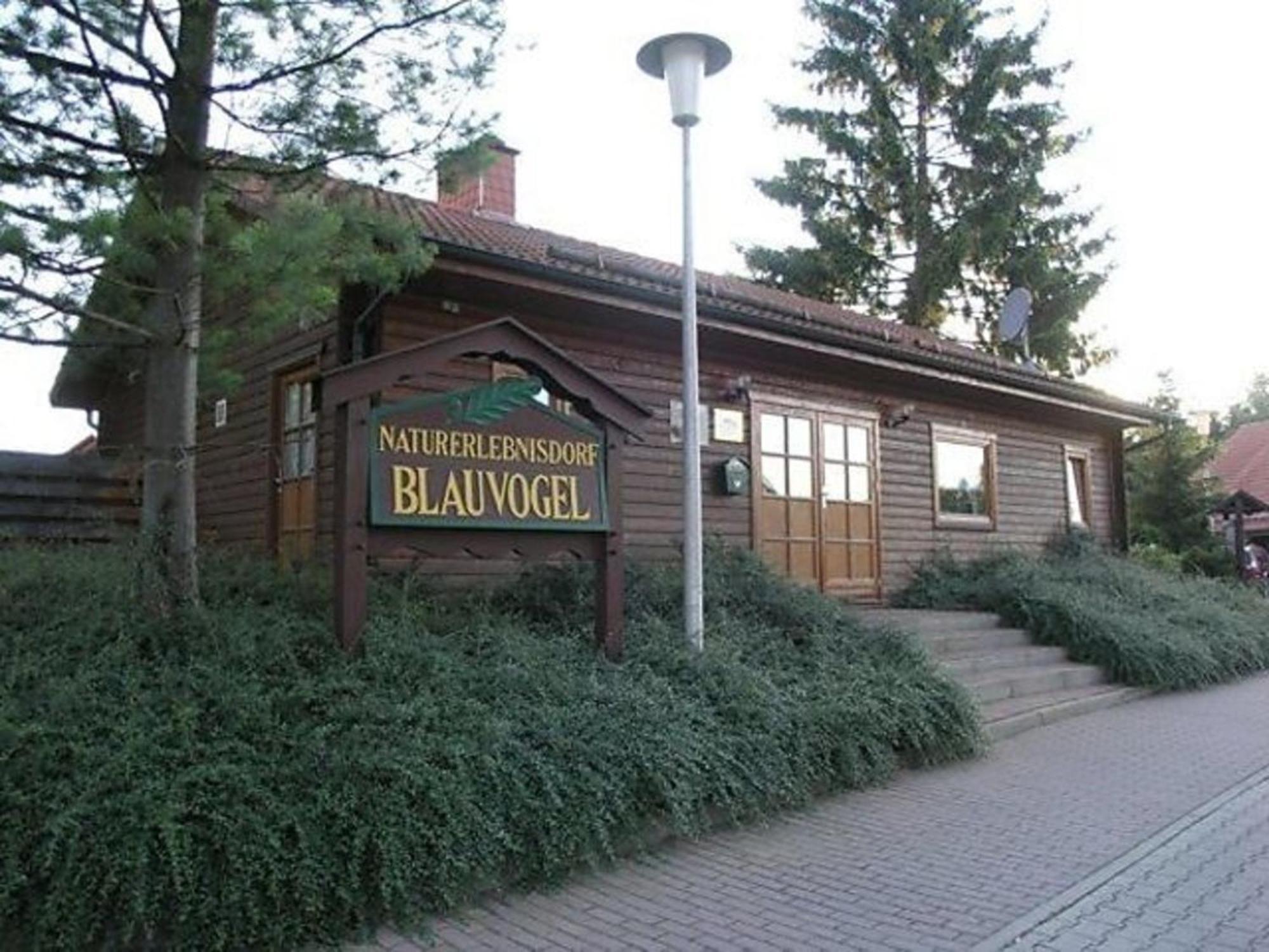 Nr 32, Typ A, Blauvogel, Hasselfelde, Harz