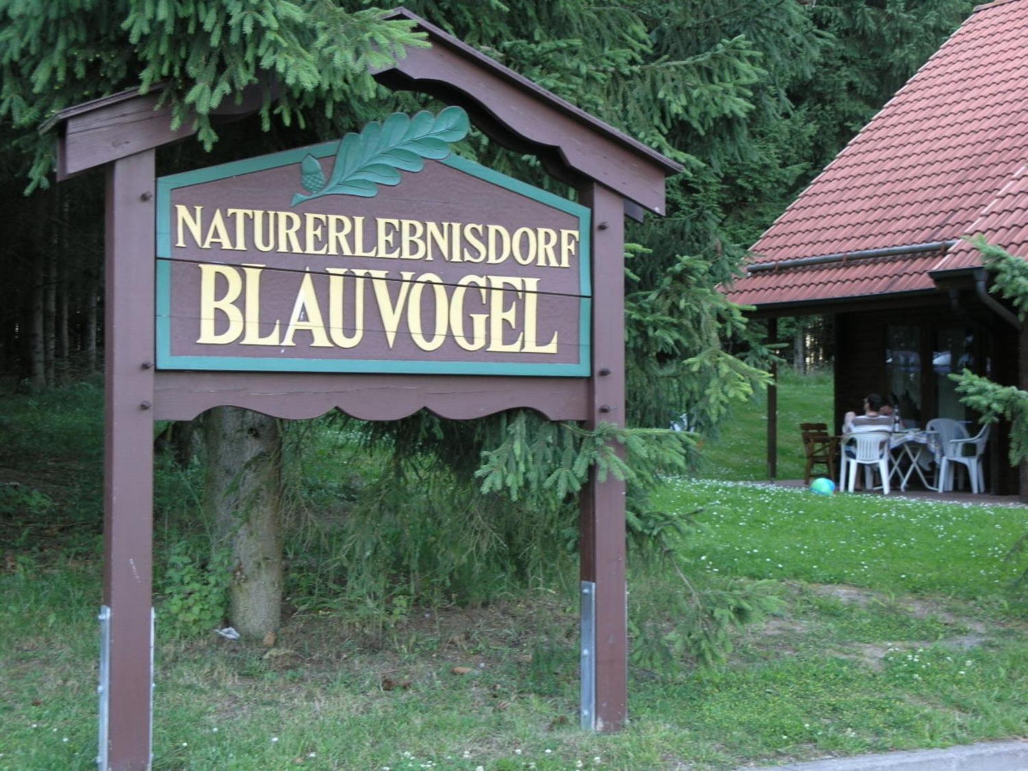 Nr 32, Typ A, Blauvogel, Hasselfelde, Harz Holiday home